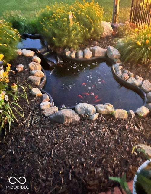 Listing Image 34