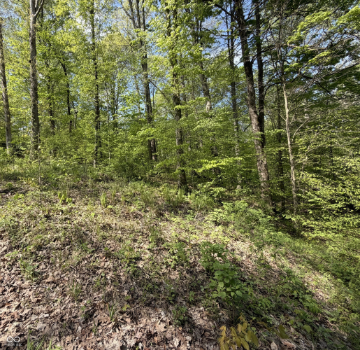 Listing Image 7