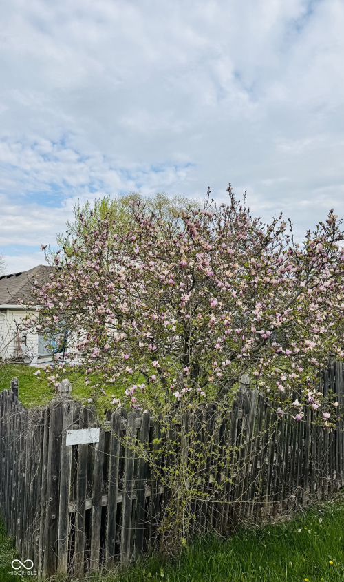 Listing Image 18