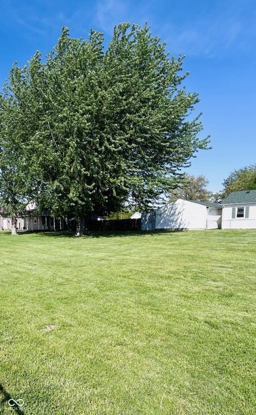Listing Image 4