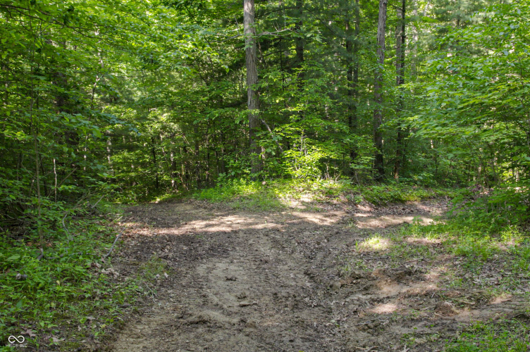 Listing Image 45