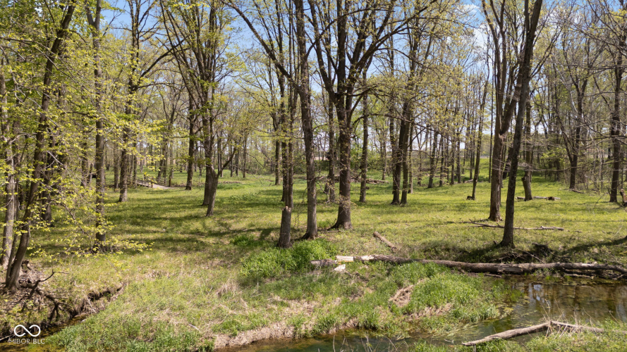 Listing Image 110