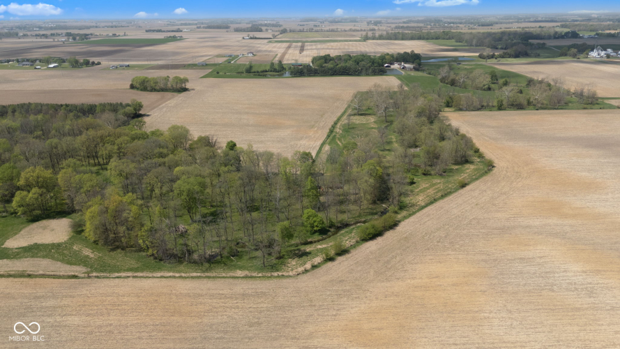 Listing Image 113
