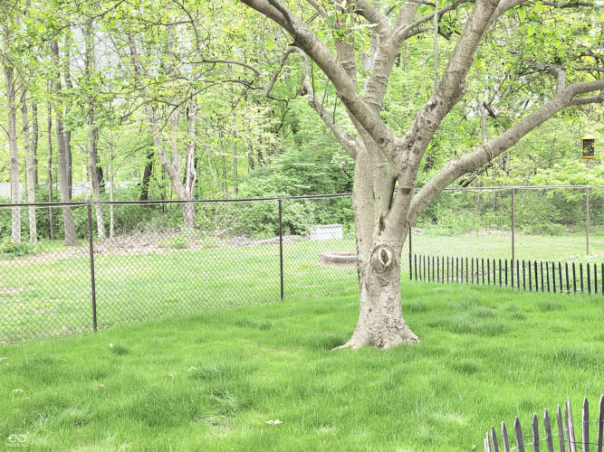Listing Image 29