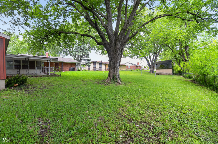 Listing Image 5