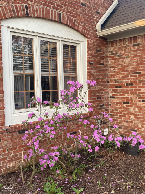 Listing Image 87
