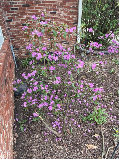 Listing Image 88