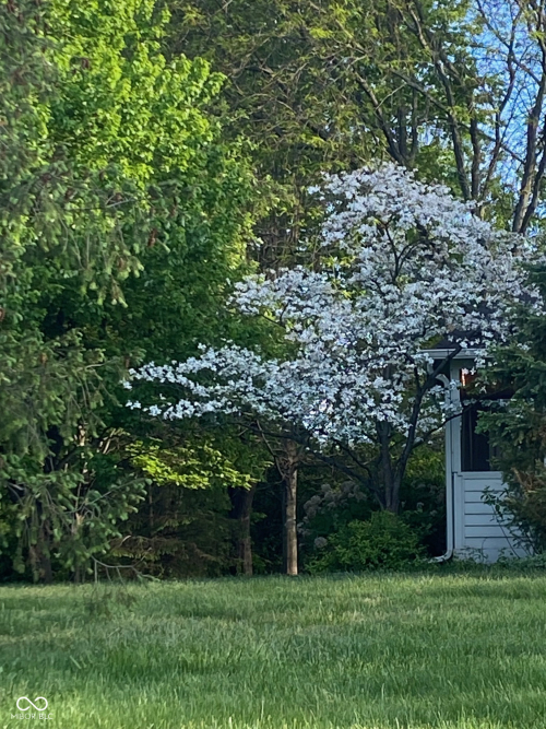 Listing Image 90