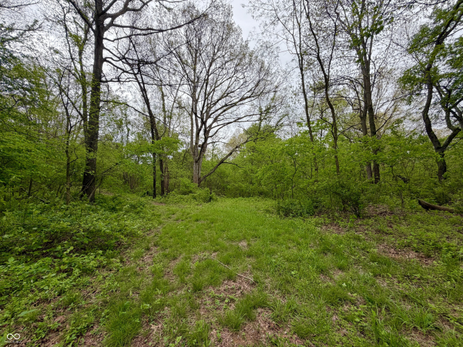 Listing Image 27