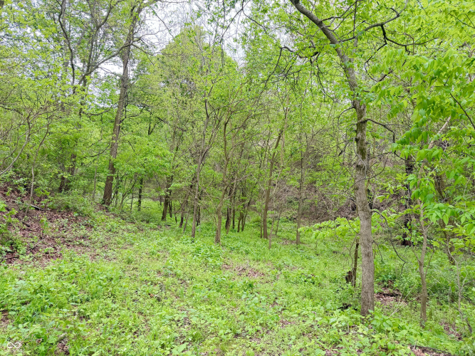 Listing Image 28