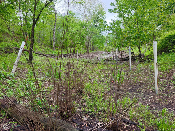 Listing Image 29