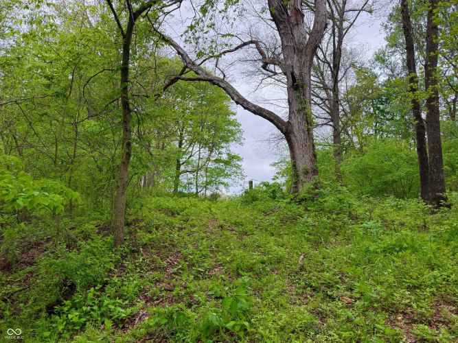 Listing Image 33