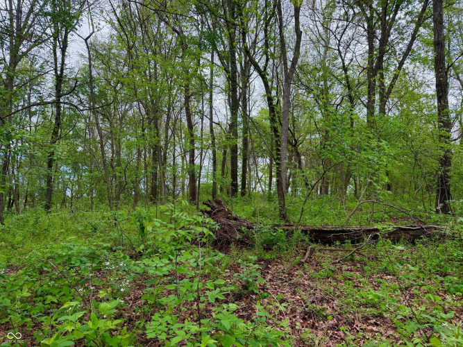 Listing Image 36