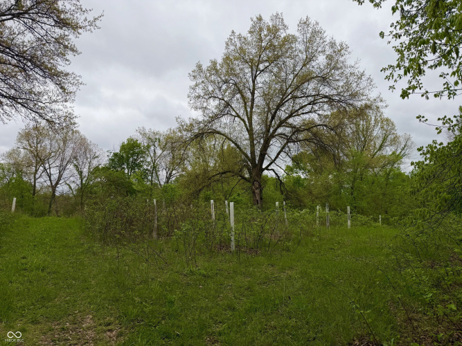 Listing Image 37