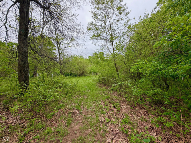 Listing Image 38
