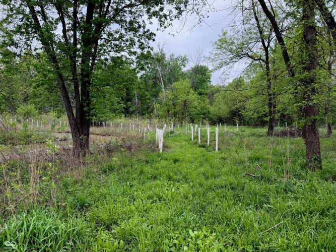 Listing Image 39