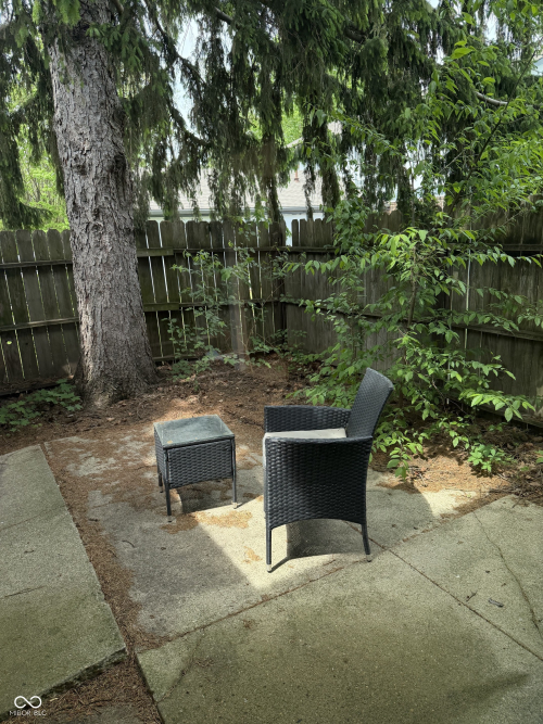 Listing Image 19