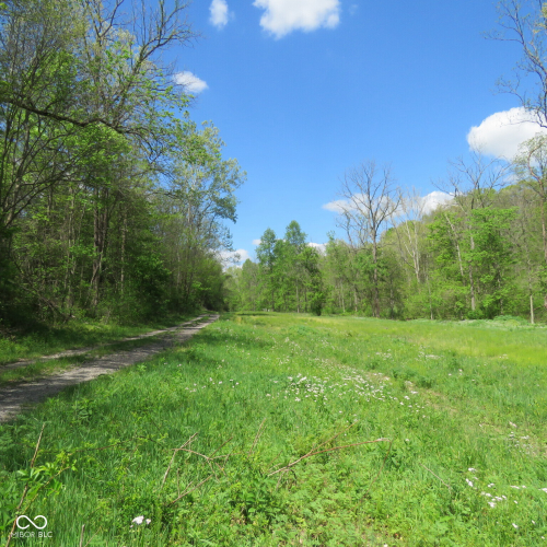 Listing Image 16