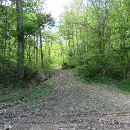 Listing Image 17
