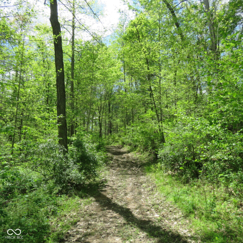 Listing Image 24