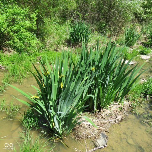 Listing Image 34