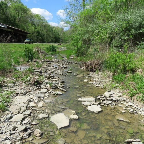 Listing Image 35