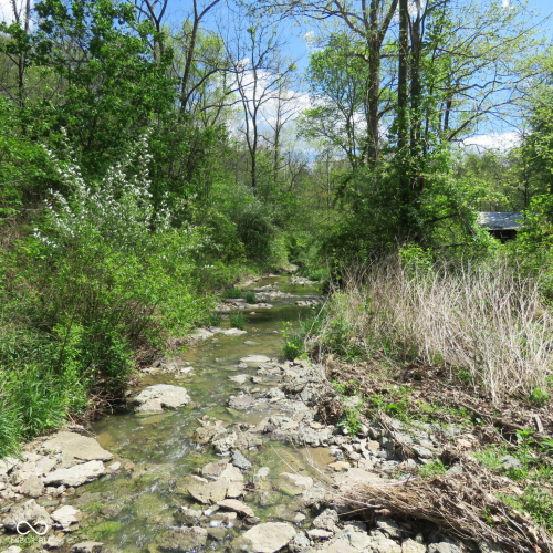 Listing Image 36