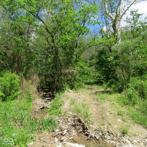 Listing Image 37