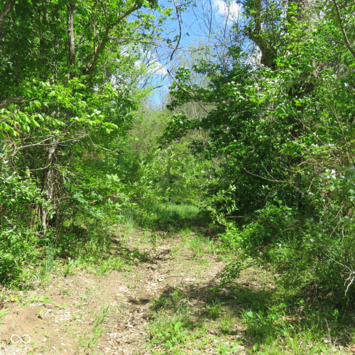 Listing Image 38