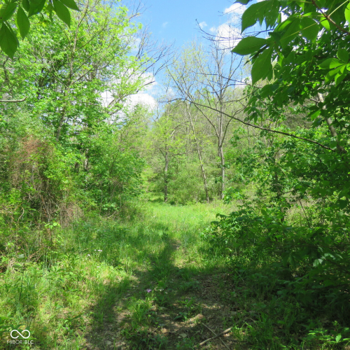 Listing Image 39