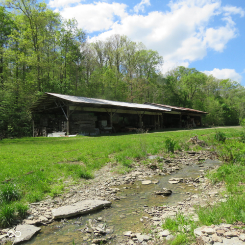 Listing Image 42