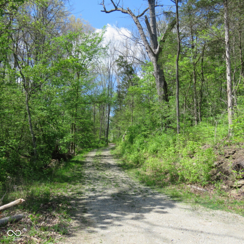 Listing Image 52