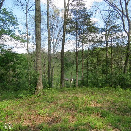 Listing Image 54