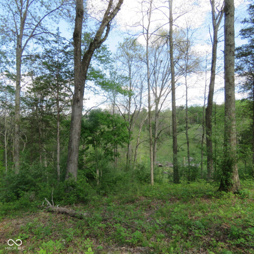 Listing Image 55
