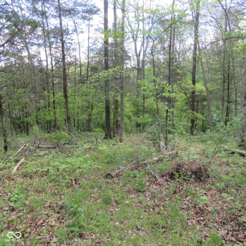 Listing Image 57