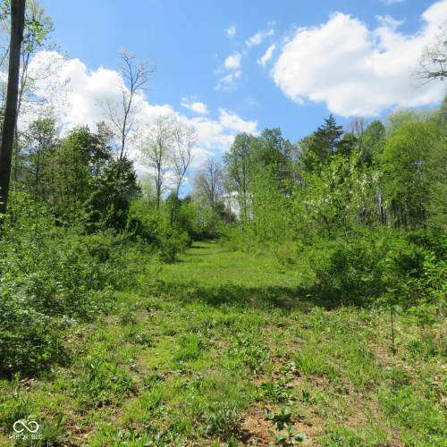 Listing Image 58
