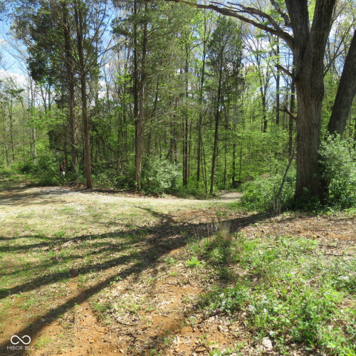 Listing Image 59