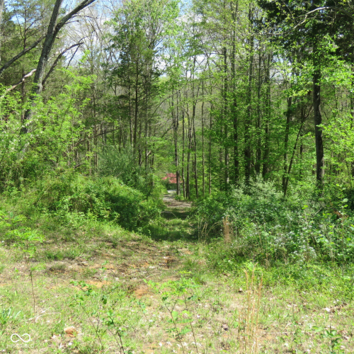 Listing Image 61