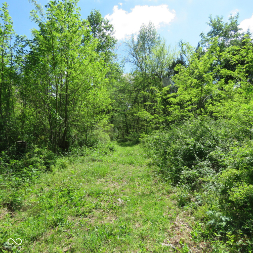 Listing Image 63