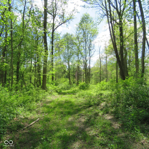 Listing Image 64
