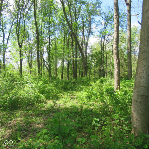 Listing Image 65