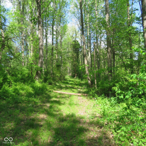 Listing Image 66
