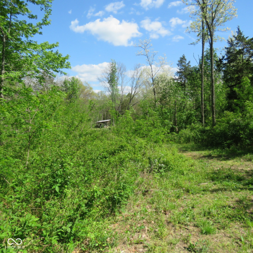 Listing Image 69