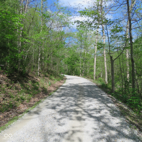 Listing Image 70