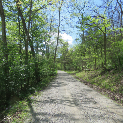 Listing Image 72