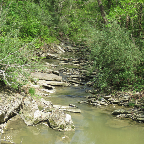 Listing Image 73
