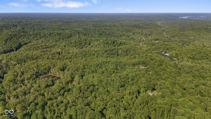 Listing Image 64