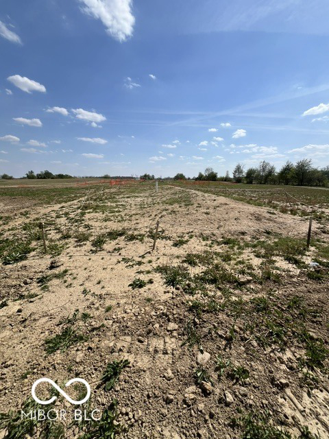 Listing Image 47