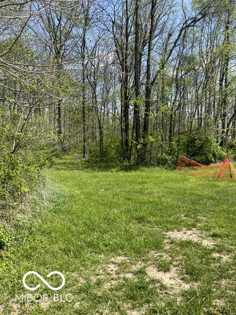 Listing Image 50