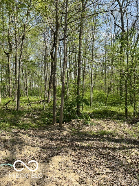 Listing Image 57